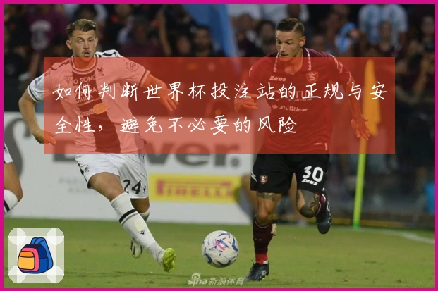 如何判断世界杯投注站的正规与安全性，避免不必要的风险