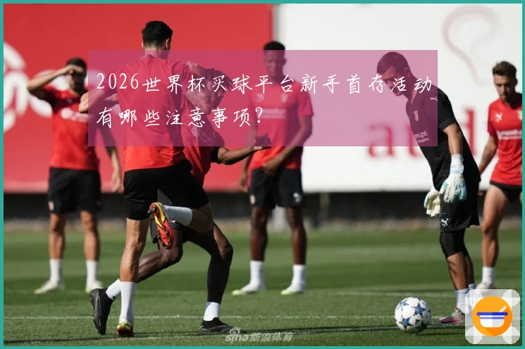 2026世界杯买球平台新手首存活动有哪些注意事项？