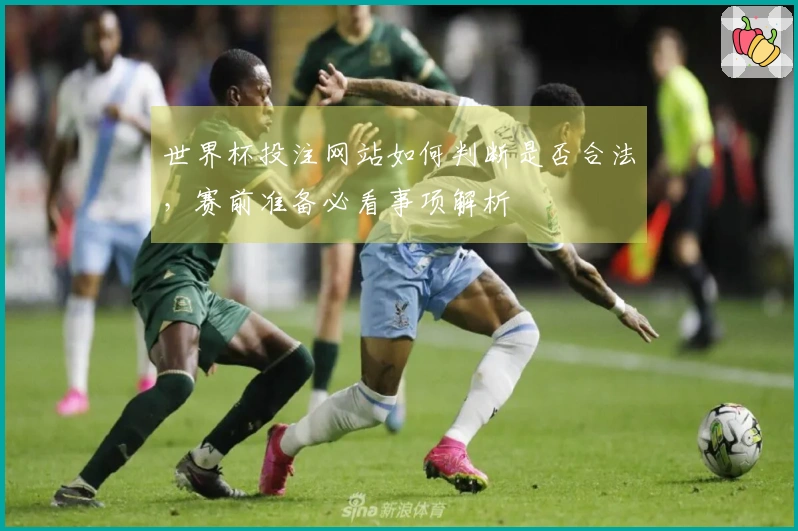 世界杯投注网站如何判断是否合法，赛前准备必看事项解析