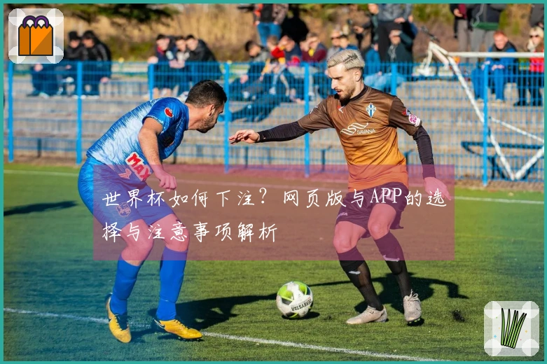 世界杯如何下注？网页版与APP的选择与注意事项解析