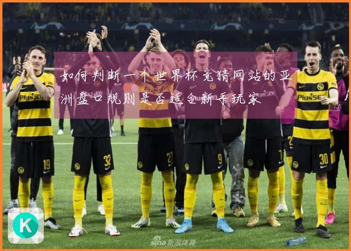 如何判断一个世界杯竞猜网站的亚洲盘口规则是否适合新手玩家