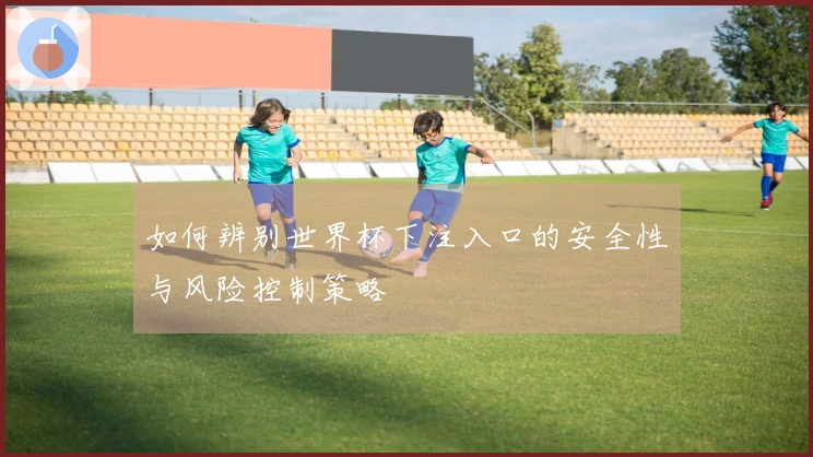 如何辨别世界杯下注入口的安全性与风险控制策略