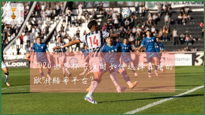 2026世界杯下注时如何选择靠谱的欧洲赔率平台？