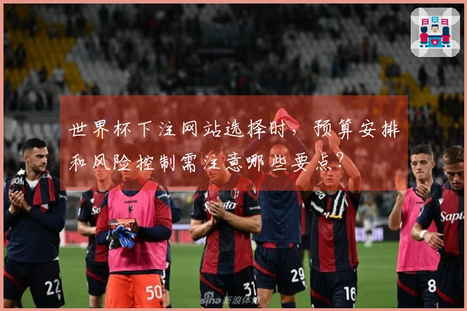 世界杯下注网站选择时，预算安排和风险控制需注意哪些要点？
