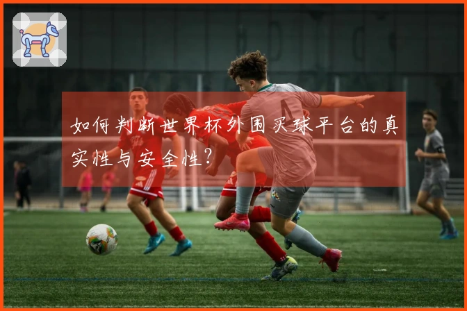 如何判断世界杯外围买球平台的真实性与安全性？