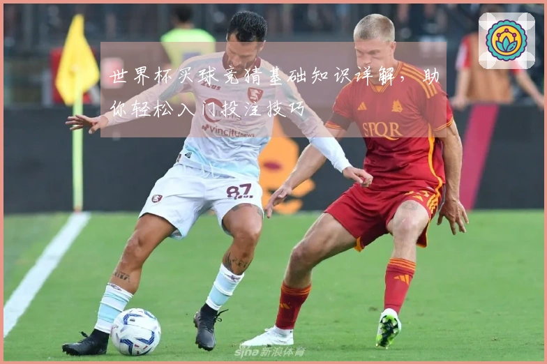 世界杯买球竞猜基础知识详解，助你轻松入门投注技巧
