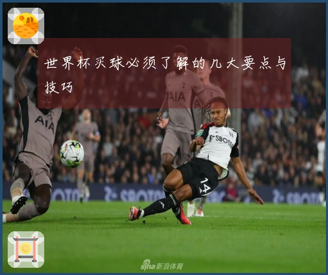 世界杯买球必须了解的几大要点与技巧