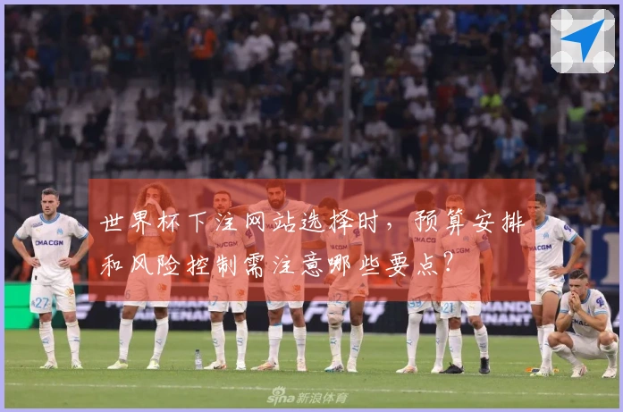 世界杯下注网站选择时，预算安排和风险控制需注意哪些要点？