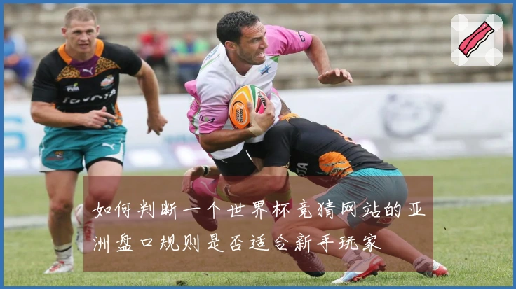 如何判断一个世界杯竞猜网站的亚洲盘口规则是否适合新手玩家
