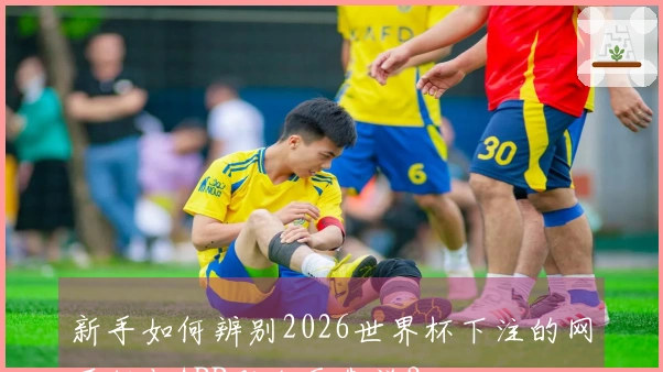 新手如何辨别2026世界杯下注的网页版与APP哪个更靠谱？