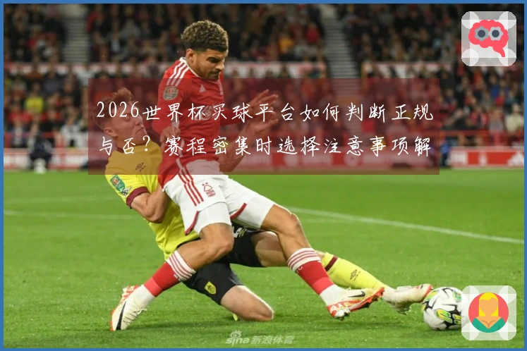 2026世界杯买球平台如何判断正规与否？赛程密集时选择注意事项解析