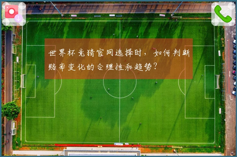 世界杯竞猜官网选择时，如何判断赔率变化的合理性和趋势？