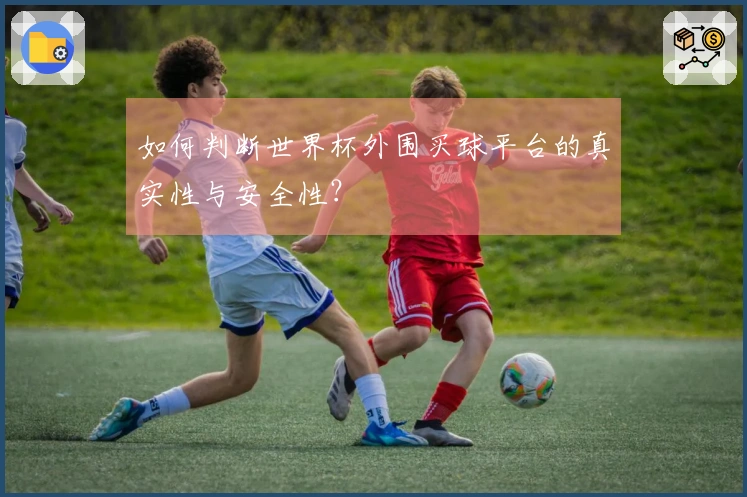 如何判断世界杯外围买球平台的真实性与安全性？