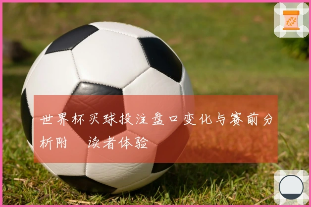 世界杯买球投注盘口变化与赛前分析附睅读者体验