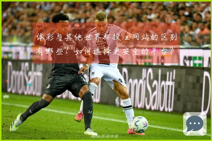 体彩与其他世界杯投注网站的区别有哪些？如何选择更安全的平台？