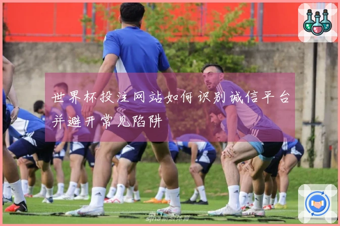 世界杯投注网站如何识别诚信平台并避开常见陷阱