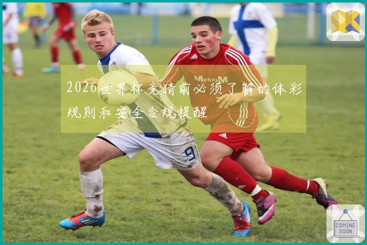 2026世界杯竞猜前必须了解的体彩规则和安全合规提醒