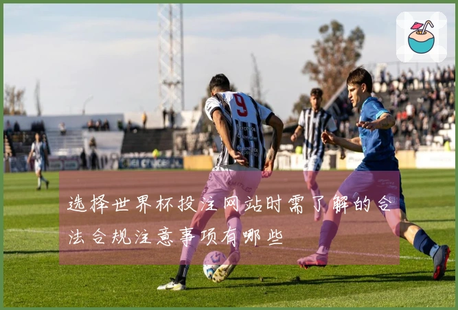 选择世界杯投注网站时需了解的合法合规注意事项有哪些