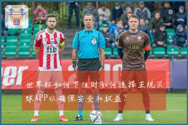 世界杯如何下注时如何选择正规买球APP以确保安全和权益？