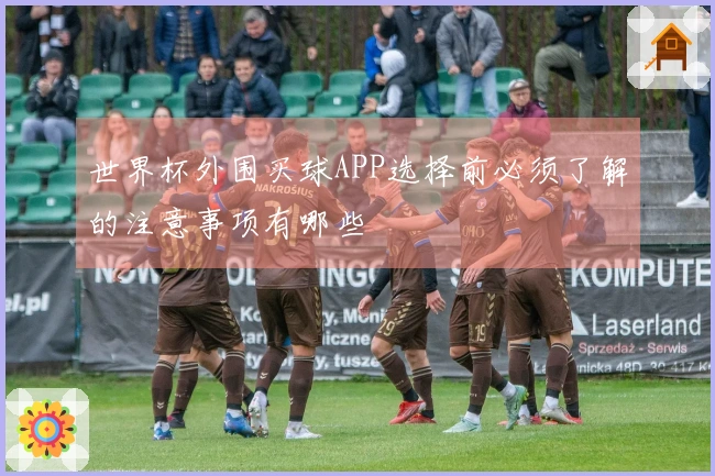 世界杯外围买球APP选择前必须了解的注意事项有哪些