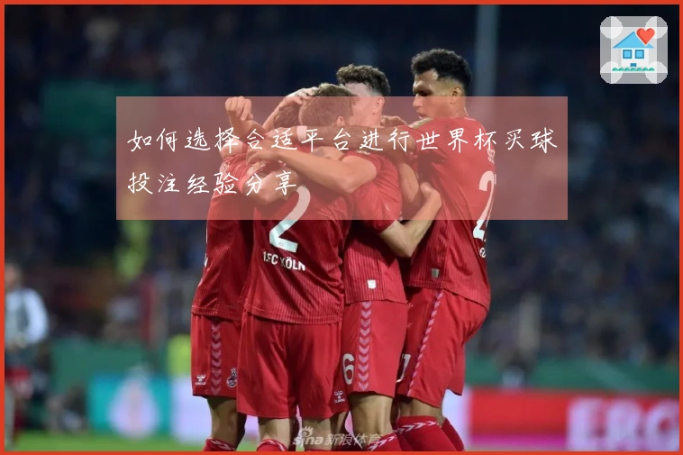 如何选择合适平台进行世界杯买球投注经验分享