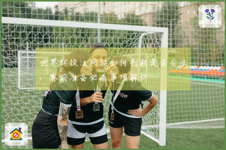世界杯投注网站如何判断是否合法，赛前准备必看事项解析