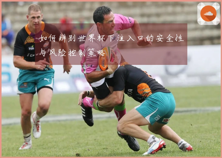 如何辨别世界杯下注入口的安全性与风险控制策略