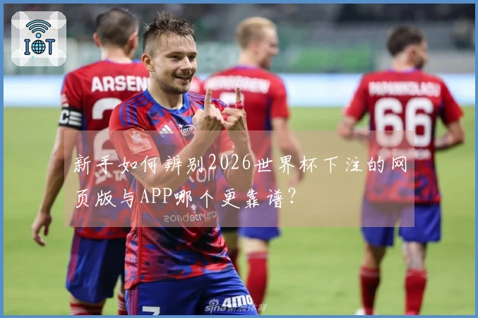 新手如何辨别2026世界杯下注的网页版与APP哪个更靠谱？