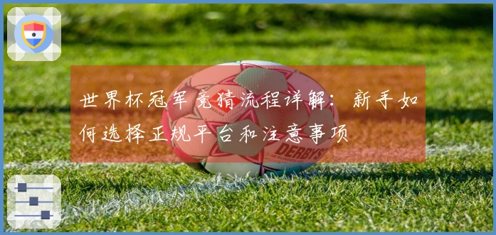 世界杯冠军竞猜流程详解：新手如何选择正规平台和注意事项